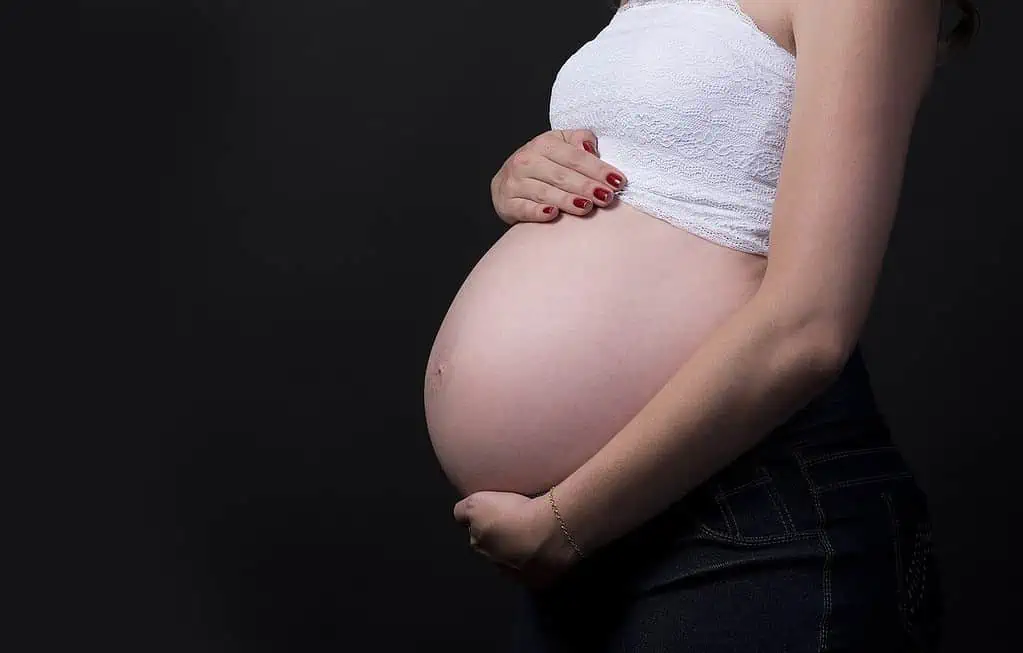 Confirmada decisão que negou estabilidade a gestante em contrato temporário 1 pregnant 2640994 1280